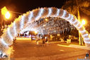 IMG_7599.jpg