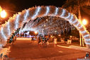 IMG_7600.jpg