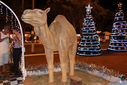 IMG_7605.jpg