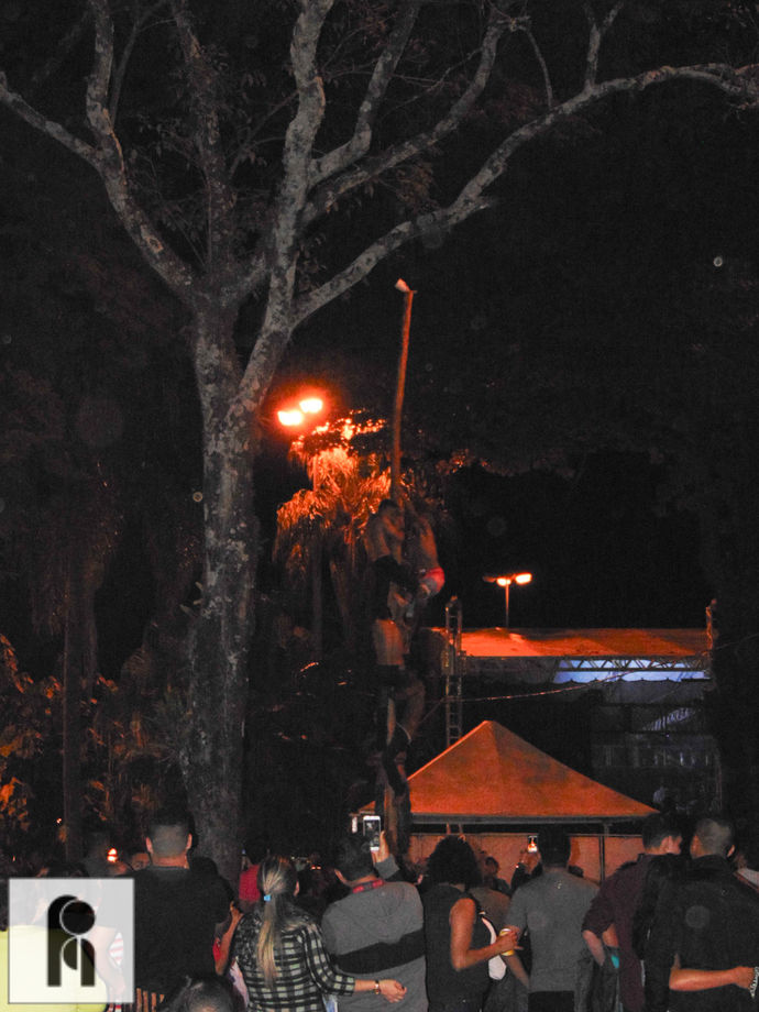 JDSC05236.jpg