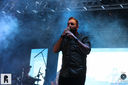 IMG_7437.jpg