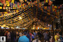 IMG_7633.jpg