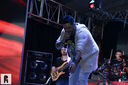 IMG_7960.jpg