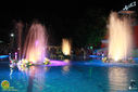 IMG_6726.jpg