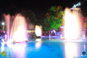 IMG_6729.jpg