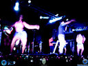 DSC01919.jpg