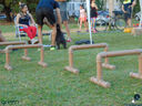 DSC05635.jpg