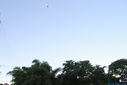 IMG_9365.jpg