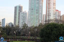 IMG_9829.jpg