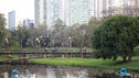 IMG_9831.jpg
