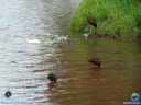 DSC03353.jpg