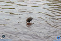 IMG_5832.jpg