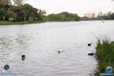 Filename=IMG_5839.jpg
Filesize=136KiB
Dimensions=790x527
Date added=Mar 29, 2017 IMG_5839.jpg