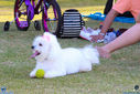 IMG_7482.jpg