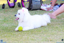 IMG_7483.jpg