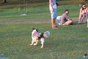 IMG_7557.jpg