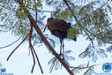 Filename=IMG_4713.jpg
Filesize=329KiB
Dimensions=790x527
Date added=Aug 01, 2017 IMG_4713.jpg