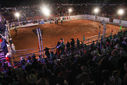 IMG_8186.jpg