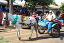 IMG_6825.jpg