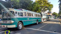 07-09-2017_7_Setembro_londrina-35.jpg