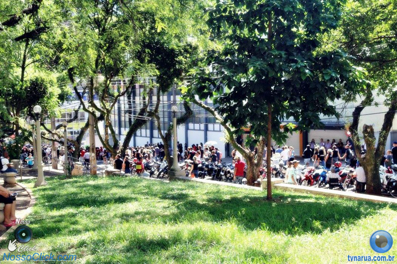 276.jpg