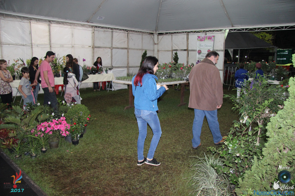 IMG_7382.jpg