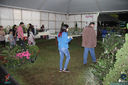 IMG_7382.jpg
