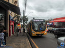 DSC00044.jpg