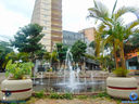 DSC00078.jpg