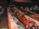 DSC00725.jpg
