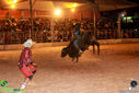 IMG_3555.jpg