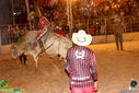 IMG_3563.jpg