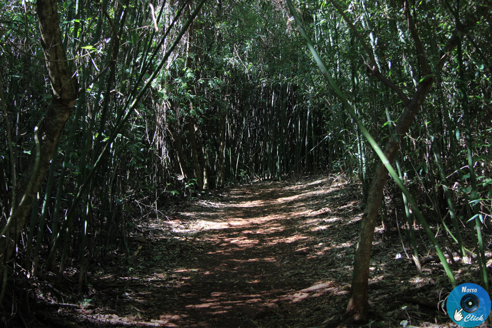 IMG_6643.jpg