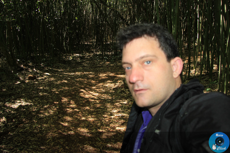 IMG_6650.jpg