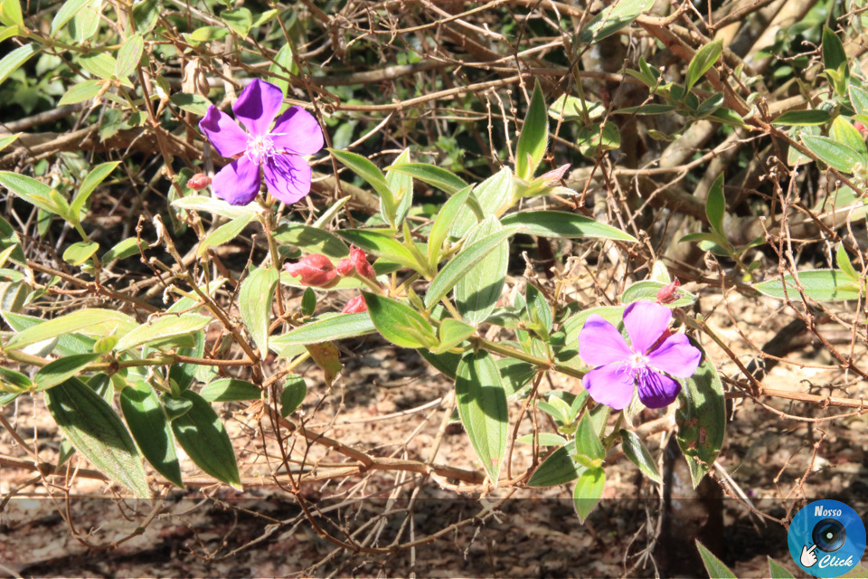 IMG_6682.jpg