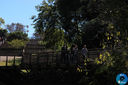 IMG_6574.jpg