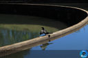 Filename=IMG_6584.jpg
Filesize=187KiB
Dimensions=960x640
Date added=Aug 14, 2018 IMG_6584.jpg