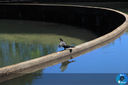 Filename=IMG_6586.jpg
Filesize=206KiB
Dimensions=960x640
Date added=Aug 14, 2018 IMG_6586.jpg