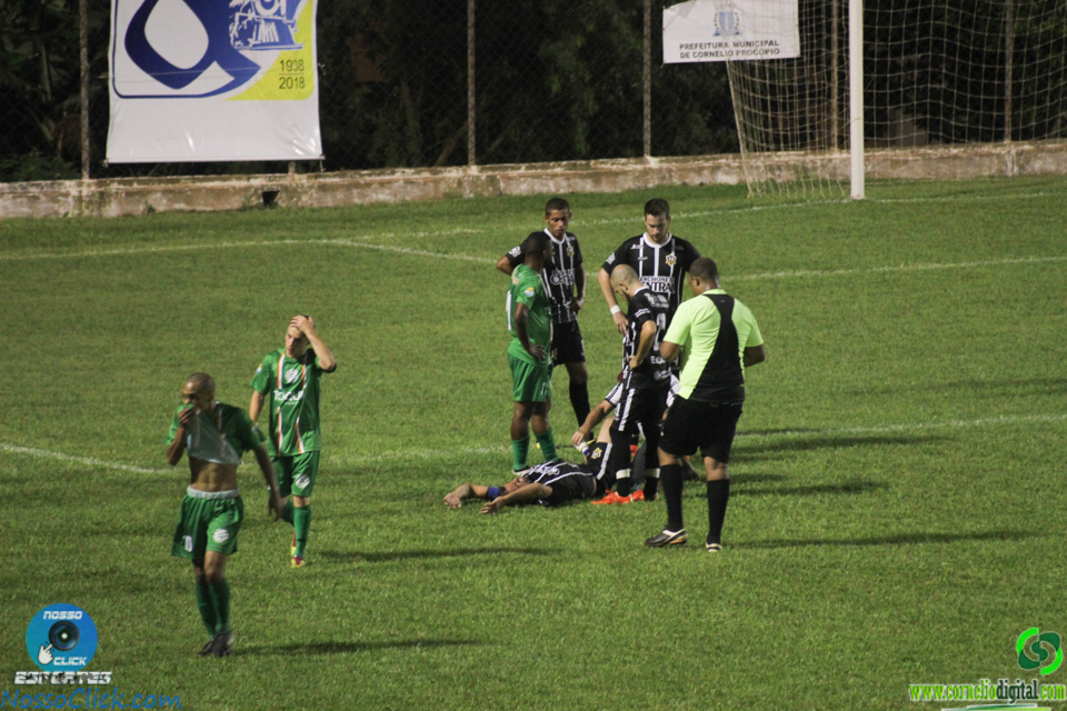 IMG_5667.jpg