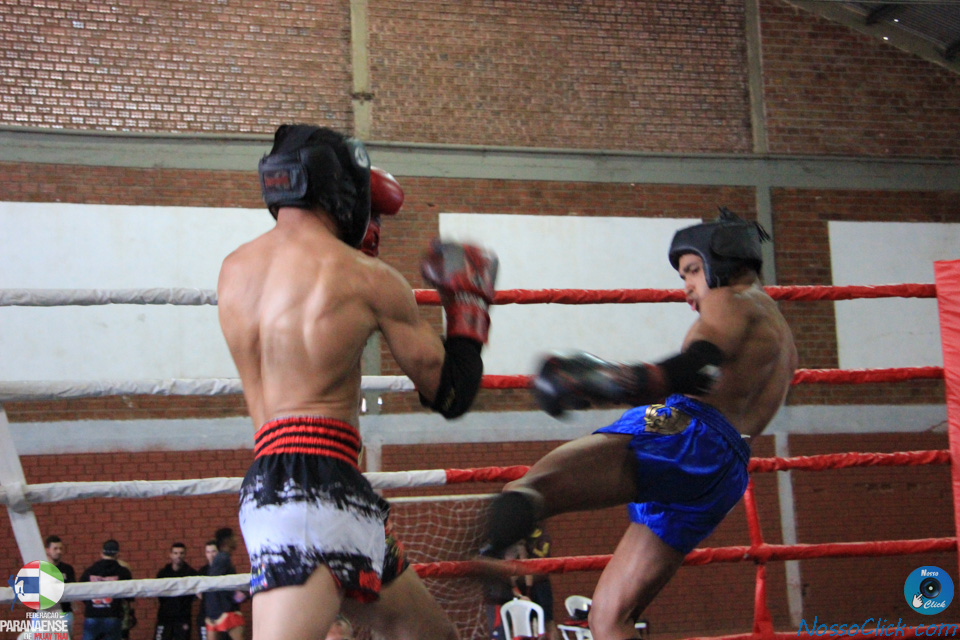 IMG_2950.jpg