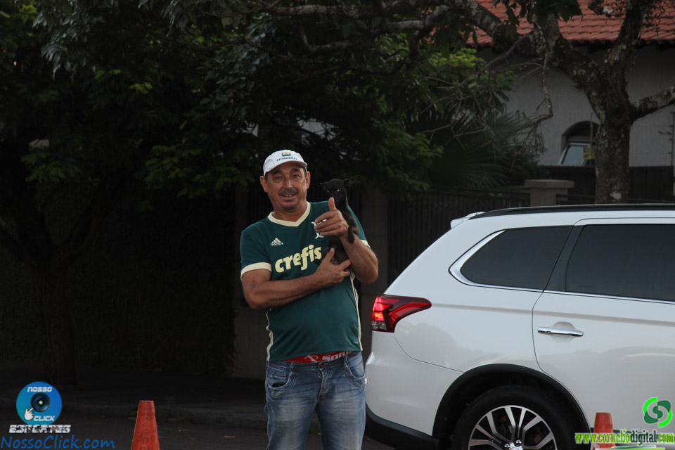 IMG_7016.jpg