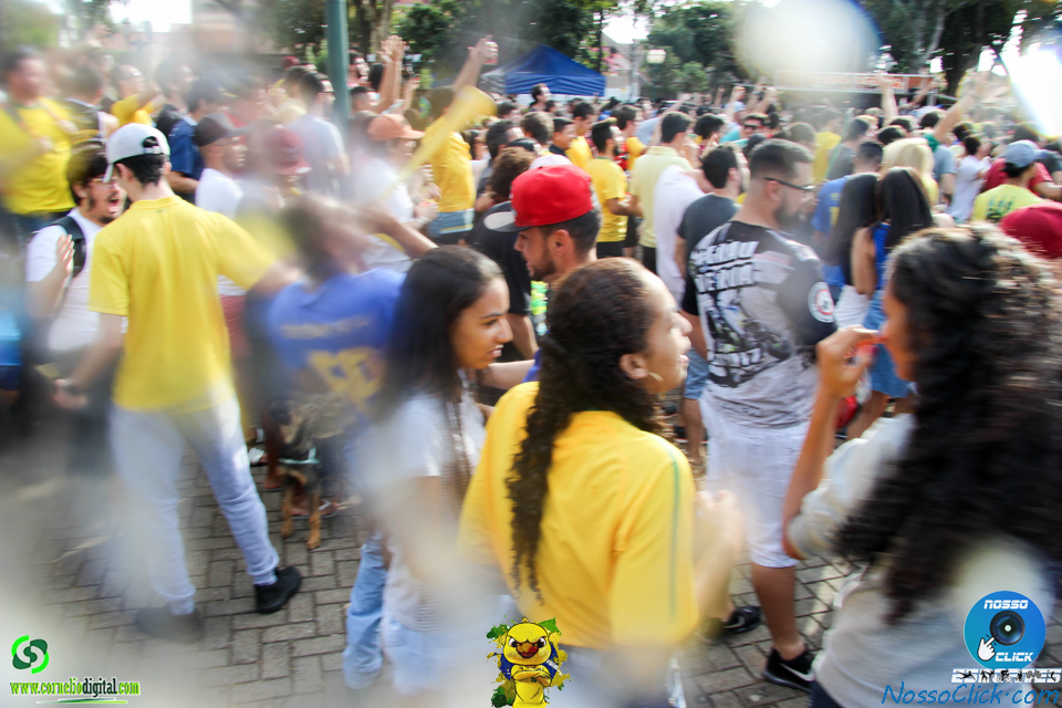 IMG_5355.jpg
