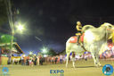 Filename=IMG_8332.jpg
Filesize=226KiB
Dimensions=960x640
Date added=Apr 10, 2018 IMG_8332.jpg