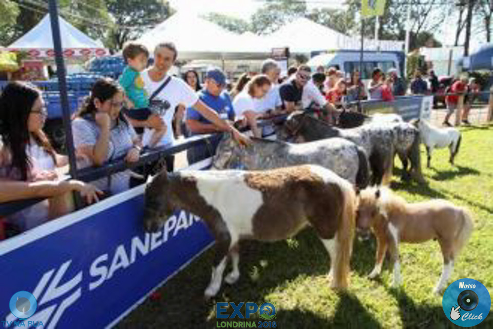 08-04-2018_ExpoLondrina_GrandeCampeonato_MiniHorse_28929.jpg