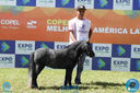 Filename=08-04-2018_ExpoLondrina_GrandeCampeonato_MiniHorse_28329.jpg
Filesize=209KiB
Dimensions=960x640
Date added=Apr 11, 2018 08-04-2018_ExpoLondrina_GrandeCampeonato_MiniHorse_28329.jpg