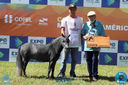 Filename=08-04-2018_ExpoLondrina_GrandeCampeonato_MiniHorse_28429.jpg
Filesize=212KiB
Dimensions=960x640
Date added=Apr 11, 2018 08-04-2018_ExpoLondrina_GrandeCampeonato_MiniHorse_28429.jpg