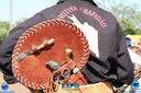 Filename=11-03-2018_Cavalgada_Expo_Londrina_104.jpg
Filesize=261KiB
Dimensions=800x533
Date added=Mar 13, 2018 11-03-2018_Cavalgada_Expo_Londrina_104.jpg