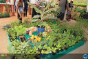 Filename=IMG_9140.jpg
Filesize=440KiB
Dimensions=960x640
Date added=Apr 16, 2018 IMG_9140.jpg