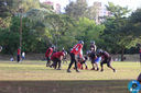 IMG_7103.jpg