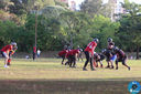 IMG_7104.jpg